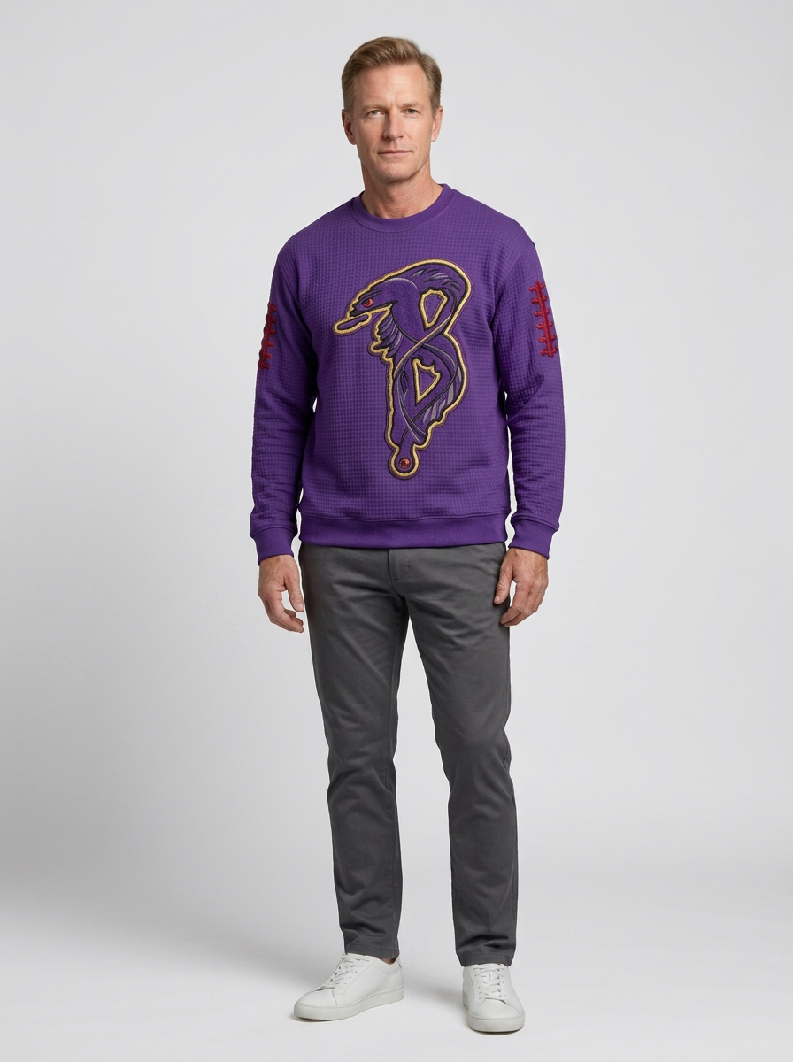 Men's Baltimore Ravens Football Fan Raven Logo Printed T-shirt